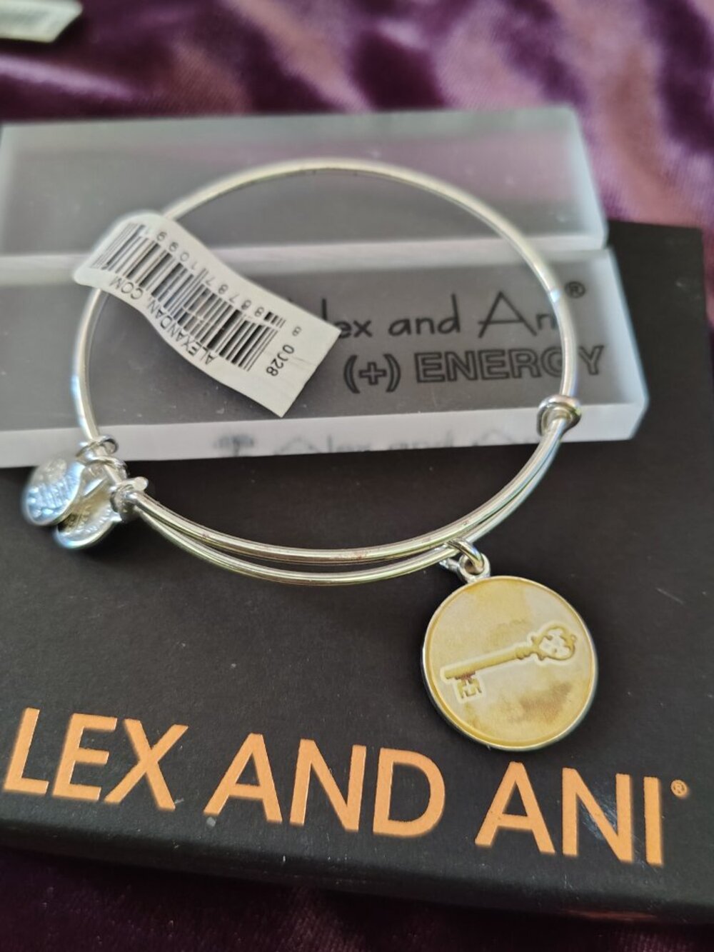 NEW Alex & Ani Skeleton Key Bangle SILVER 792